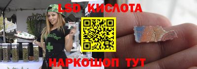индика Гусь-Хрустальный