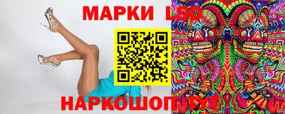 индика Гусь-Хрустальный