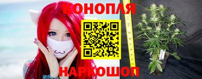 гидропоника Гусиноозёрск