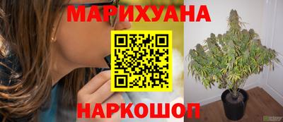 гидропоника Гусиноозёрск