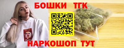 индика Гусь-Хрустальный