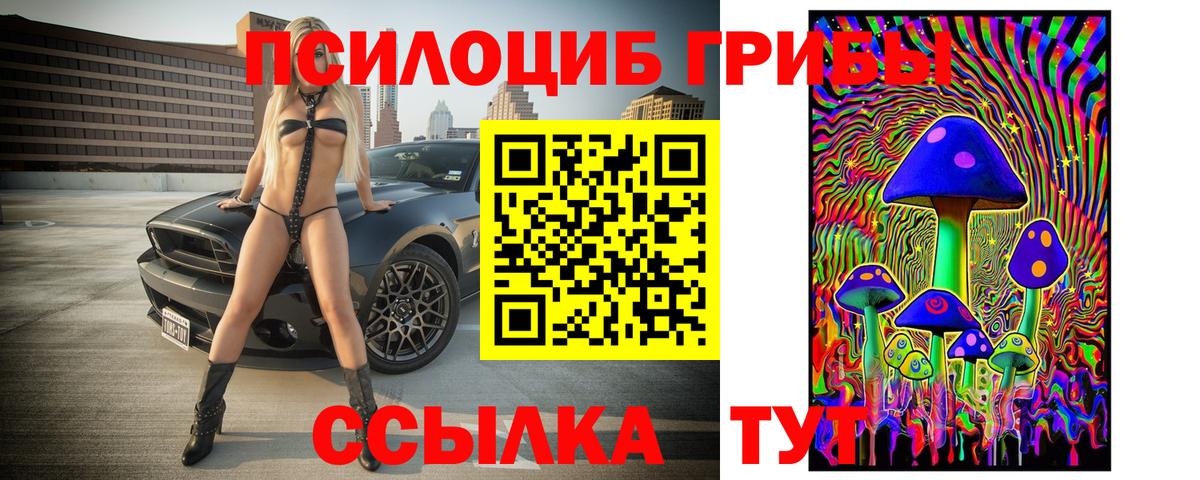 Псилоцибиновые грибы мицелий  Вход с VPN  Новый Уренгой  Псилоцибиновые грибы мицелий 