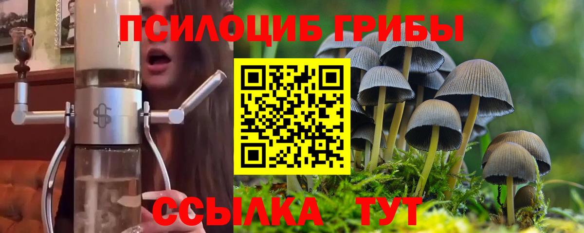 Галлюциногенные грибы MAGIC MUSHROOMS Новый Уренгой